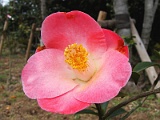 p2009_0318-042