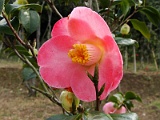 p2009_0318-043