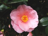 p2009_0318-045
