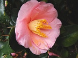 p2009_0318-046