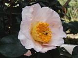 p2009_0318-049
