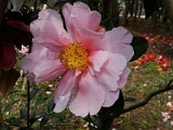 p2009_0318-085