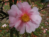 p2009_0318-086