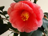 p2009_0318-094