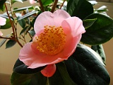 p2009_0318-095
