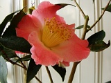 p2009_0318-098