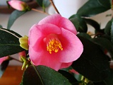 p2009_0318-101