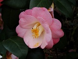 p2009_0318-104