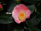 p2009_0318-120