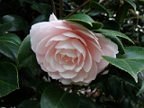 p2009_0318-122