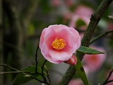 p2009_0318-124