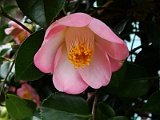 p2009_0318-126