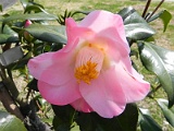 p20110324_01