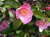 p20110324_02