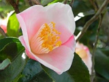 p20110324_03