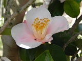 p20110324_04