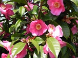 p20110324_05