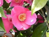 p20110324_06