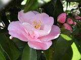 p20110324_07