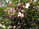 p20110324_08