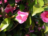 p20110324_11