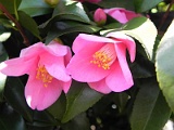 p20110324_12