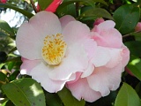 p20110324_13