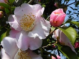 p20110324_14