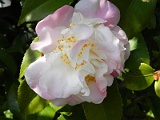 p20110324_15