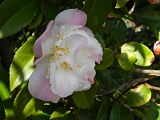 p20110324_16
