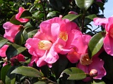 p20110324_17