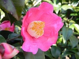 p20110324_18