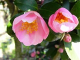 p20110324_19