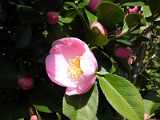 p20110324_20