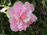 p20110324_21