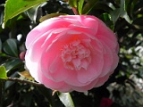 p20110324_22