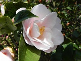 p20110324_29