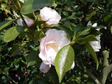 p20110324_30