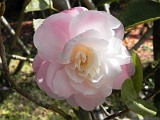 p20110324_31