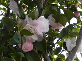 p20110324_32