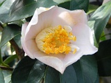 p20110324_37