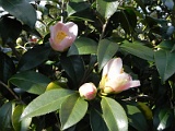 p20110324_38
