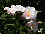 p20110324_39