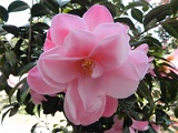 p20110324_40