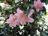 p20110324_41