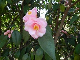 p20110324_42