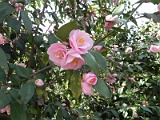 p20110324_43