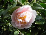 p20110324_56