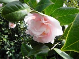 p20110324_57