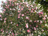 p20110324_62